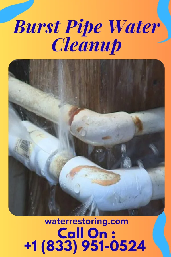 Burst Pipe Water Cleanup in Old Tappan, NJ
