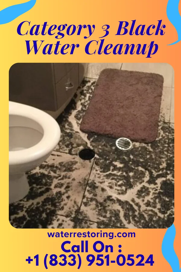 Category 3 Black Water Cleanup in Old Tappan, NJ