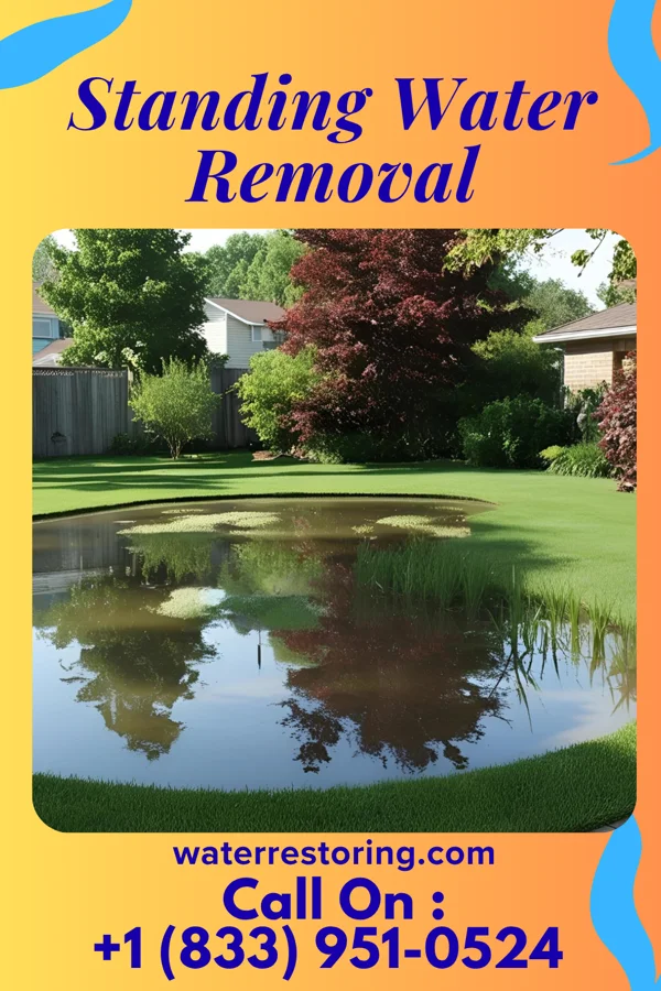 Standing Water Removal in Old Tappan, NJ